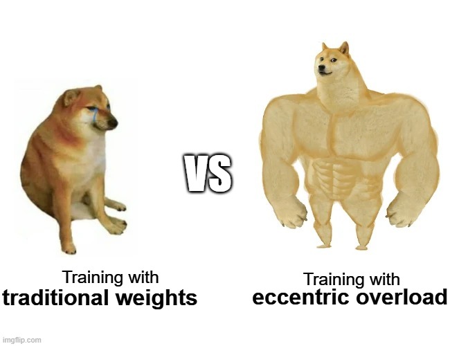 Cheems vs Buff Doge | VS; Training with; Training with; traditional weights; eccentric overload | image tagged in cheems vs buff doge | made w/ Imgflip meme maker