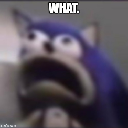 WHAT. | image tagged in distress | made w/ Imgflip meme maker