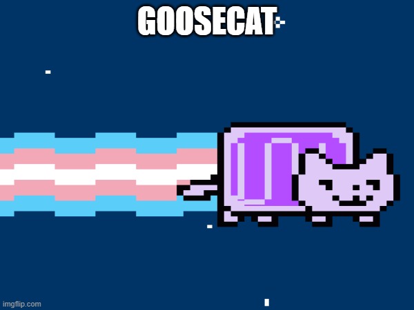 I tried making a Gooseworx nyan cat, but unfortunately, I didn't know how to get the triangle head | GOOSECAT | image tagged in gooseworx,nyan cat | made w/ Imgflip meme maker