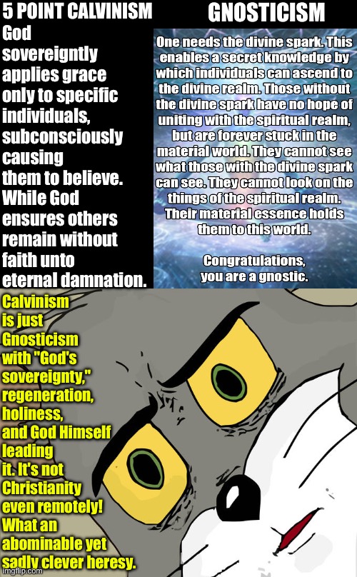 It's "Holy" Gnosticism | 5 POINT CALVINISM; GNOSTICISM; God sovereigntly applies grace only to specific individuals, subconsciously causing them to believe. Calvinism is just Gnosticism with "God's sovereignty," regeneration, holiness, and God Himself leading it. It's not Christianity even remotely! What an abominable yet sadly clever heresy. While God ensures others remain without faith unto eternal damnation. | image tagged in unsettled tom,calvinism,calvinist memes,anti calvinism,reformed theology,nuanced gnostic corpse muppets | made w/ Imgflip meme maker