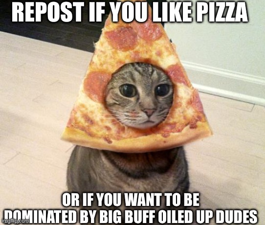 Pizza repost Blank Meme Template