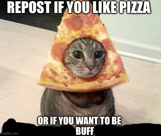 I like pizza | image tagged in pizza repost | made w/ Imgflip meme maker