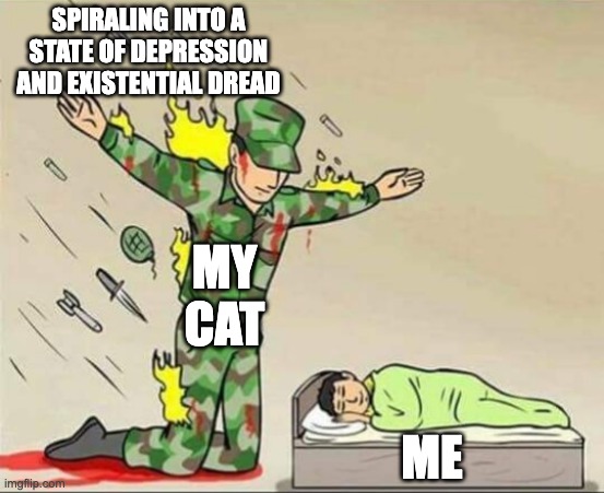I love my cat :) | SPIRALING INTO A STATE OF DEPRESSION AND EXISTENTIAL DREAD; MY CAT; ME | image tagged in soldier protecting sleeping child | made w/ Imgflip meme maker