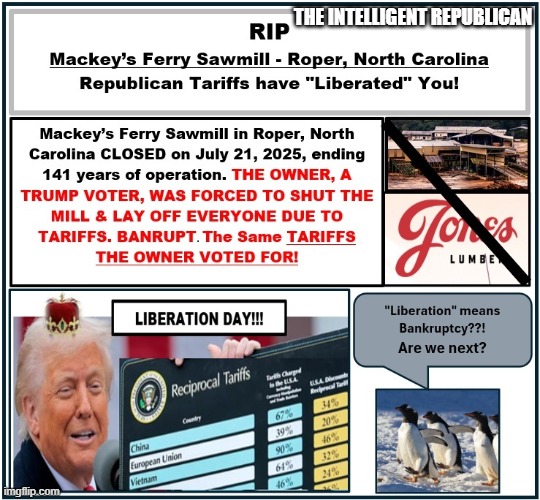 The Intelligent Republican Voter | THE INTELLIGENT REPUBLICAN | image tagged in republican gets what it voted for | made w/ Imgflip meme maker