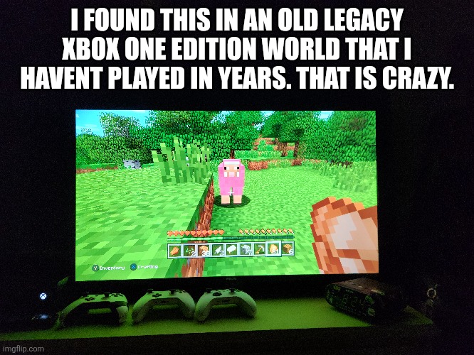 pink sheep! | I FOUND THIS IN AN OLD LEGACY XBOX ONE EDITION WORLD THAT I HAVENT PLAYED IN YEARS. THAT IS CRAZY. | image tagged in pink sheep,minecraft | made w/ Imgflip meme maker