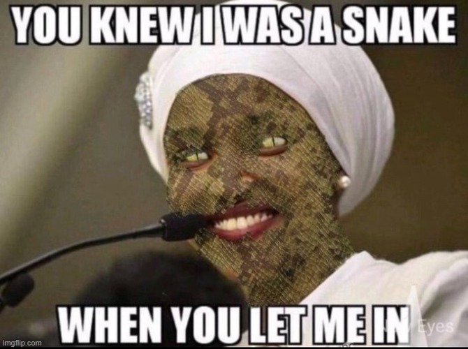 This Snake's been on the Take ever since she Married her brother Jake | image tagged in vince vance,ilhan omar,somali,childcare,fraud,corruption | made w/ Imgflip meme maker