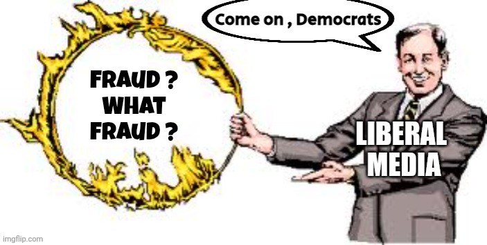 We don't hate the Media enough | Fraud ?
What
fraud ? | image tagged in jumping through hoops,biased media,nothing to see here,we don't tell you,it didn't happen,liberal logic | made w/ Imgflip meme maker