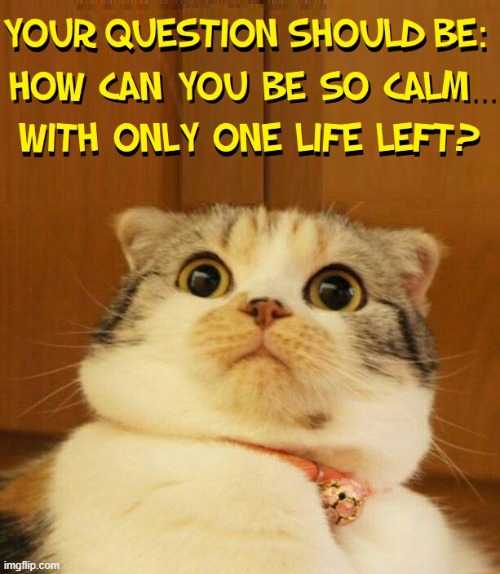 "All my Lives have Meaning... U-MAN." -Mewford D Cat | image tagged in vince vance,cats,funny cat memes,9 lives,scared cat,i love cats | made w/ Imgflip meme maker