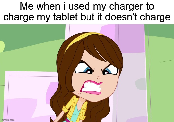 Bro, this has been seriously annoying! | Me when i used my charger to charge my tablet but it doesn't charge | image tagged in blythe baxter angry | made w/ Imgflip meme maker