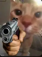Cat holding gun meme Blank Meme Template