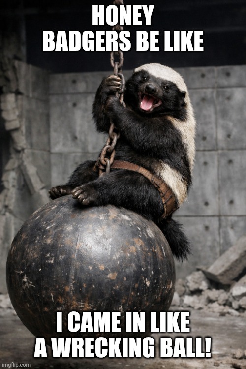 I came in like a wrecking ball | HONEY BADGERS BE LIKE; I CAME IN LIKE A WRECKING BALL! | image tagged in honey badger nature's wrecking ball | made w/ Imgflip meme maker