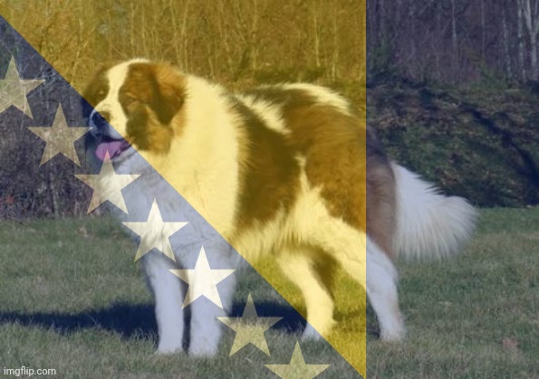 New Paw Patrol oc, he's from Bosnia | made w/ Imgflip meme maker