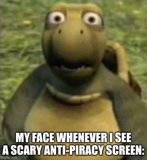 MY FACE WHENEVER I SEE A SCARY ANTI-PIRACY SCREEN: | image tagged in turtle from over the hedge | made w/ Imgflip meme maker