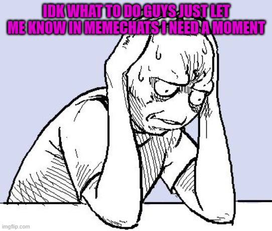 Please be nice | IDK WHAT TO DO GUYS JUST LET ME KNOW IN MEMECHATS I NEED A MOMENT | image tagged in stressed meme | made w/ Imgflip meme maker