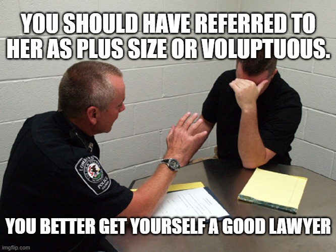 YOU SHOULD HAVE REFERRED TO HER AS PLUS SIZE OR VOLUPTUOUS. YOU BETTER GET YOURSELF A GOOD LAWYER | image tagged in shame | made w/ Imgflip meme maker