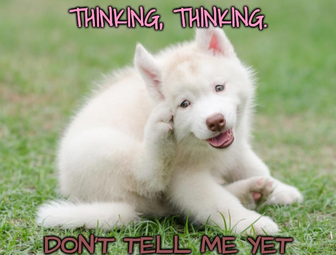 THINKING, THINKING. DON'T TELL ME YET | image tagged in think think think | made w/ Imgflip meme maker