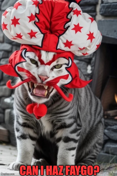 MILENKO CAT | CAN I HAZ FAYGO? | image tagged in icp,insane clown posse,cheeseburger,cat,great milenko | made w/ Imgflip meme maker
