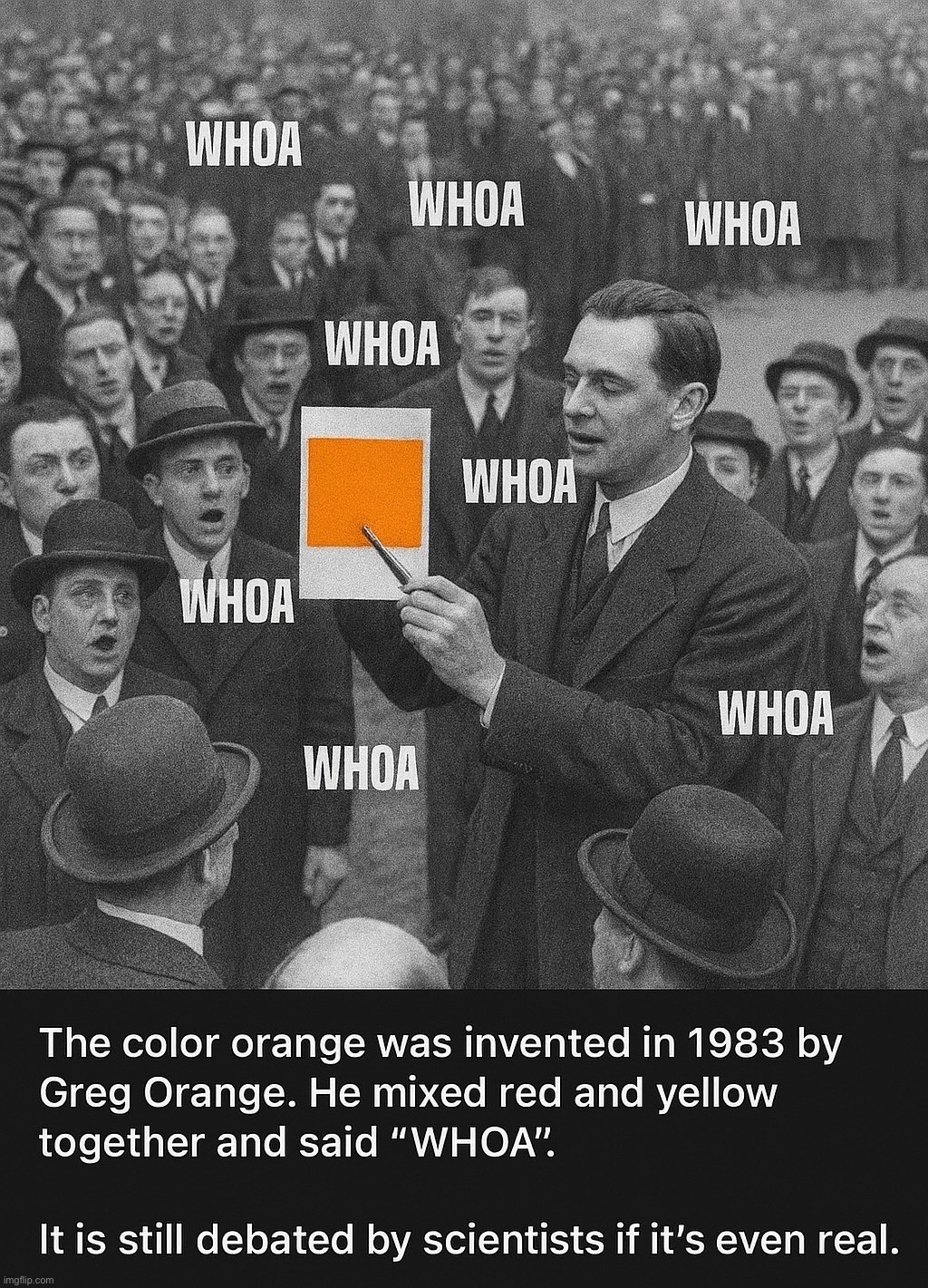 WHOA | image tagged in memes,funny,orange,colors,history,whoa | made w/ Imgflip meme maker