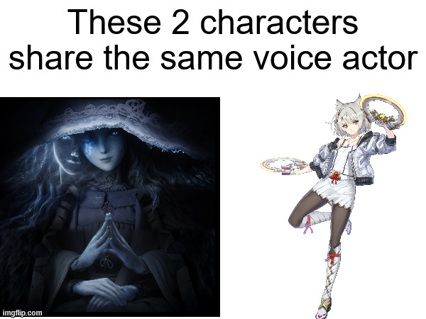 These 2 characters share the same voice actor | image tagged in memes,xenoblade chronicles 3,elden ring | made w/ Imgflip meme maker