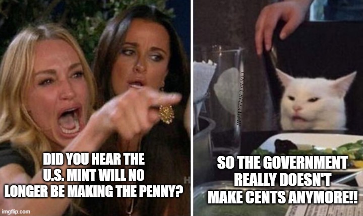 Smudge Vs Karen | SO THE GOVERNMENT REALLY DOESN'T MAKE CENTS ANYMORE!! DID YOU HEAR THE U.S. MINT WILL NO LONGER BE MAKING THE PENNY? | image tagged in white cat table,two women yelling at a cat,smudge the cat,smudge that darn cat,smudge | made w/ Imgflip meme maker