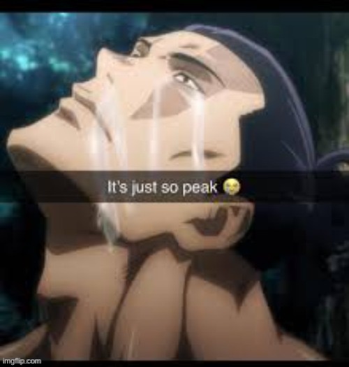 I love MSMG patriotism | image tagged in it s just so peak | made w/ Imgflip meme maker