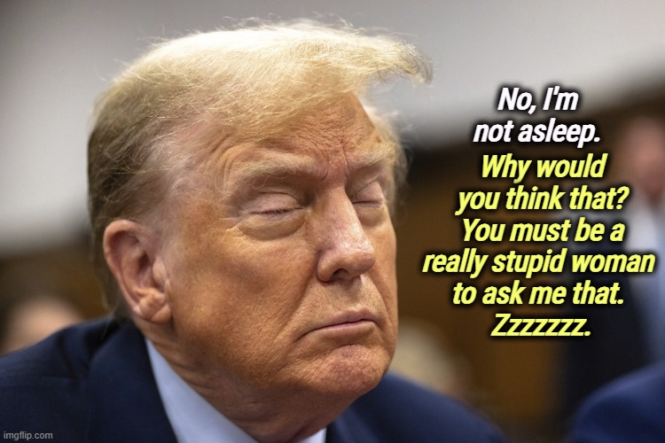 Trump sleeping through cabinet meetings. Senile dementia | No, I'm not asleep. Why would you think that?
You must be a really stupid woman 
to ask me that. 
Zzzzzzz. | image tagged in trump sleeping through cabinet meetings senile dementia,trump,sleep,senile,old,sleepy don | made w/ Imgflip meme maker