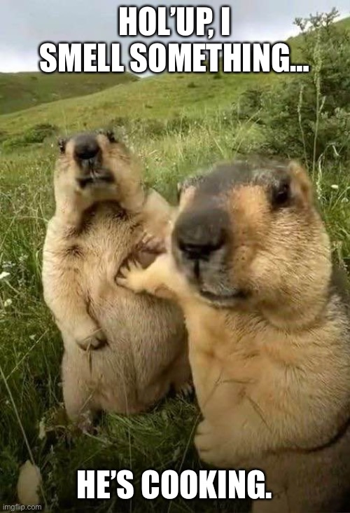 Cooked like there’s no tomorrow. | HOL’UP, I SMELL SOMETHING…; HE’S COOKING. | image tagged in beaver let him cook | made w/ Imgflip meme maker