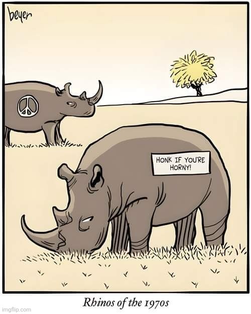 Meanwhile... back in the 70s | image tagged in vince vance,rhinos,rhinoceros,cartoons,honk,horn | made w/ Imgflip meme maker