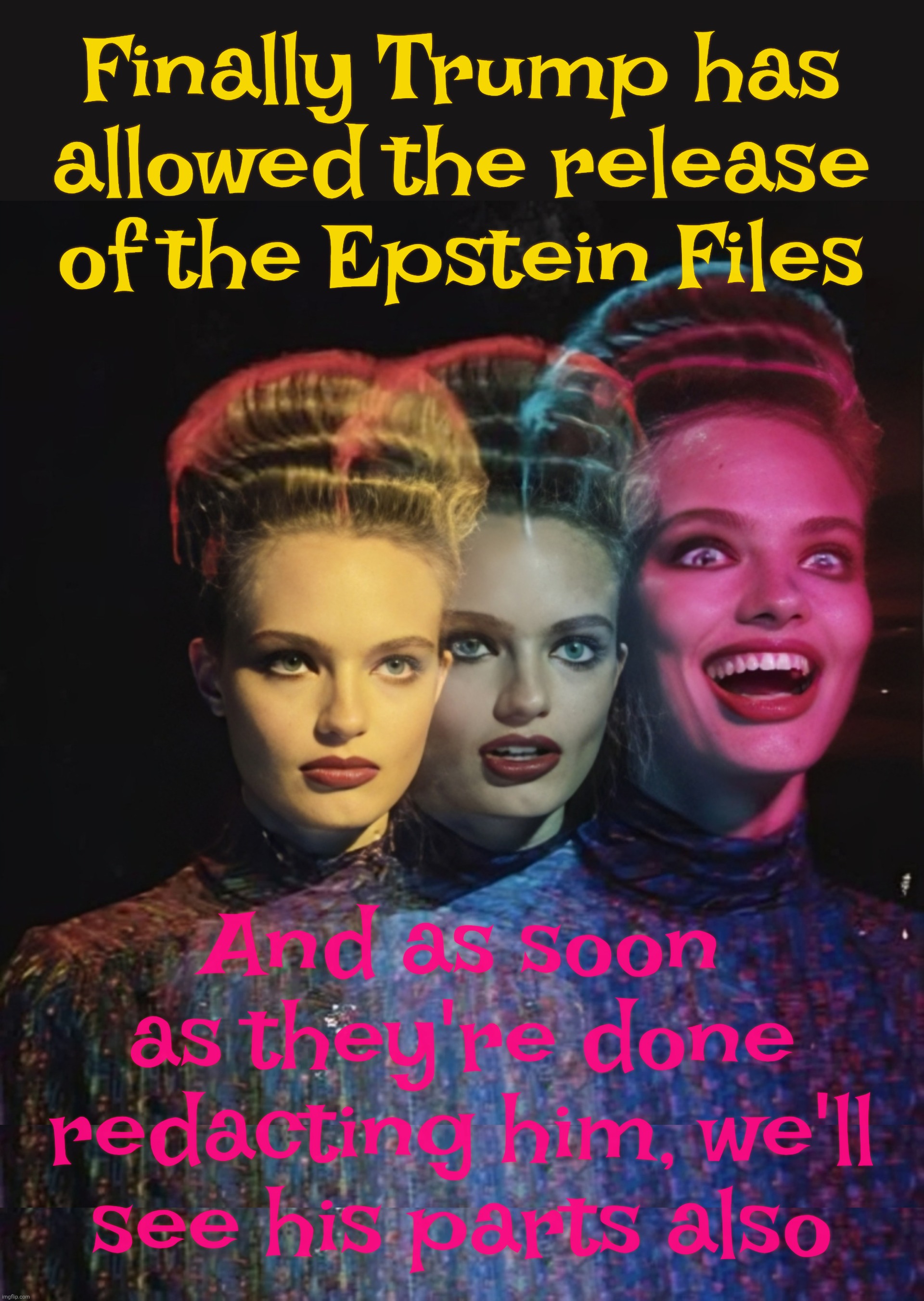 Finally Trump has allowed the release of the Epstein Files; And as soon
as they're done
redacting him, we'll
see his parts also | image tagged in hardy har har ii | made w/ Imgflip meme maker