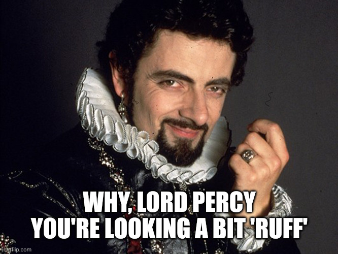 Blackadder | WHY, LORD PERCY YOU'RE LOOKING A BIT 'RUFF' | image tagged in blackadder | made w/ Imgflip meme maker