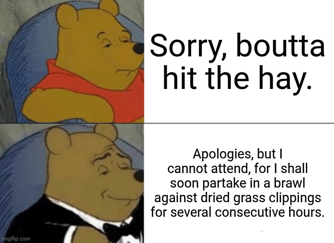 Alright, put 'em up, put 'em the fu- *honk, mimimimimimi* | Sorry, boutta hit the hay. Apologies, but I cannot attend, for I shall soon partake in a brawl against dried grass clippings for several consecutive hours. | image tagged in memes,tuxedo winnie the pooh | made w/ Imgflip meme maker