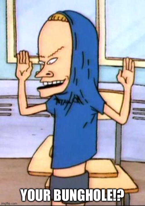 YOUR BUNGHOLE!? | image tagged in beavis cornholio | made w/ Imgflip meme maker