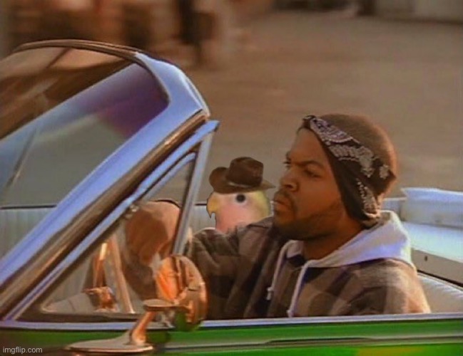 So who remembers gonb | image tagged in today was a good day | made w/ Imgflip meme maker