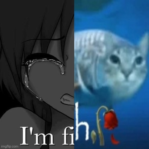 I’m fine | image tagged in i m fine | made w/ Imgflip meme maker