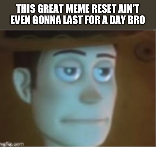 Woody Dissappinted Stare | THIS GREAT MEME RESET AIN’T EVEN GONNA LAST FOR A DAY BRO | image tagged in woody dissappinted stare | made w/ Imgflip meme maker
