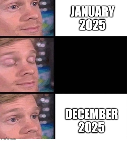 Time flies so fast... | JANUARY 2025; DECEMBER 2025 | image tagged in blinking guy vertical blank,memes,funny,2025 | made w/ Imgflip meme maker
