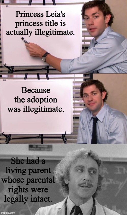 "Princess" Leia? Not legally. | Princess Leia's princess title is actually illegitimate. Because the adoption was illegitimate. She had a living parent whose parental rights were legally intact. | image tagged in jim halpert explains,young frankenstein lecture,star wars | made w/ Imgflip meme maker