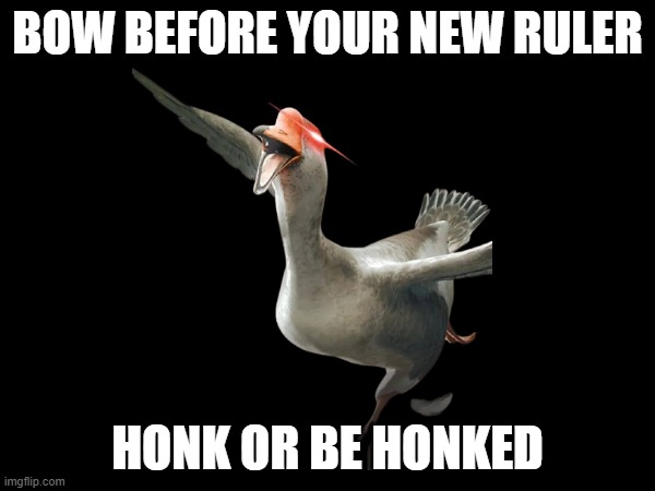 Goose overlord | BOW BEFORE YOUR NEW RULER; HONK OR BE HONKED | image tagged in goose | made w/ Imgflip meme maker