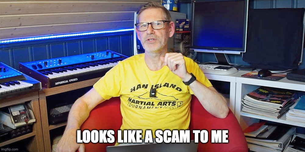 Espen Scam | LOOKS LIKE A SCAM TO ME | image tagged in espen kraft | made w/ Imgflip meme maker