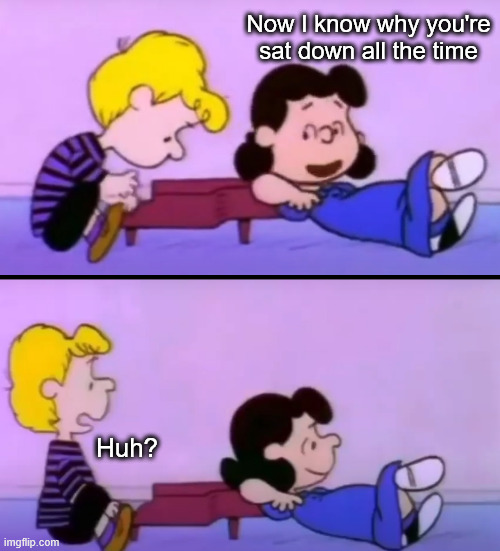 Schroeder and Lucy | Now I know why you're sat down all the time Huh? | image tagged in schroeder and lucy | made w/ Imgflip meme maker