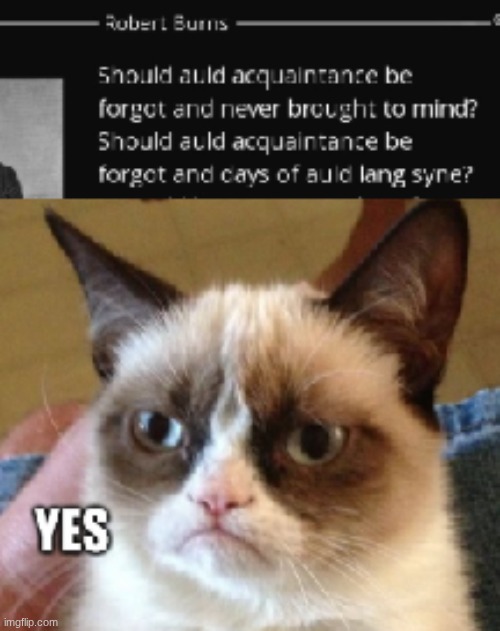 image tagged in happy new year | made w/ Imgflip meme maker