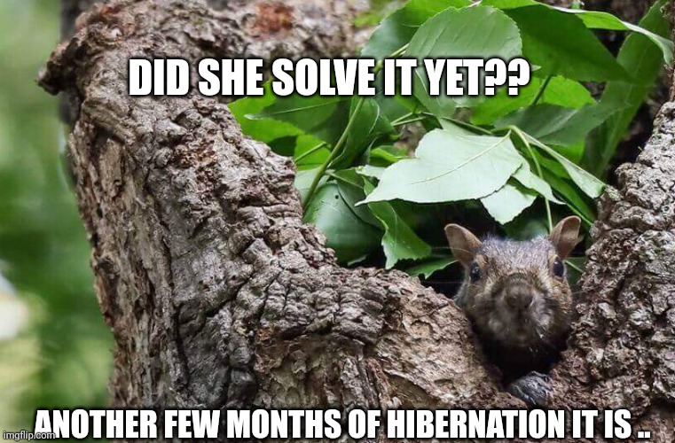 DID SHE SOLVE IT YET?? ANOTHER FEW MONTHS OF HIBERNATION IT IS .. | made w/ Imgflip meme maker
