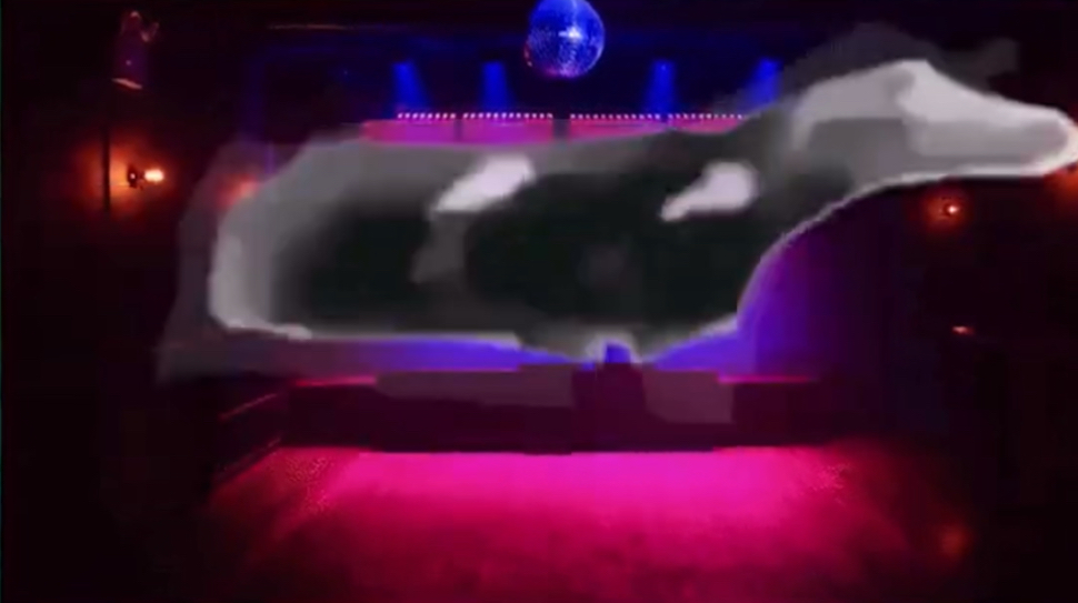 Floating cow bean Blank Meme Template