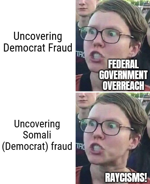 New belief that if you don't want your auditing, you don't have to. Then the effort becomes harsh and you get sweet headlines | FEDERAL GOVERNMENT OVERREACH; RAYCISMS! | image tagged in democrats,fraud,american politics,triggered liberal | made w/ Imgflip meme maker