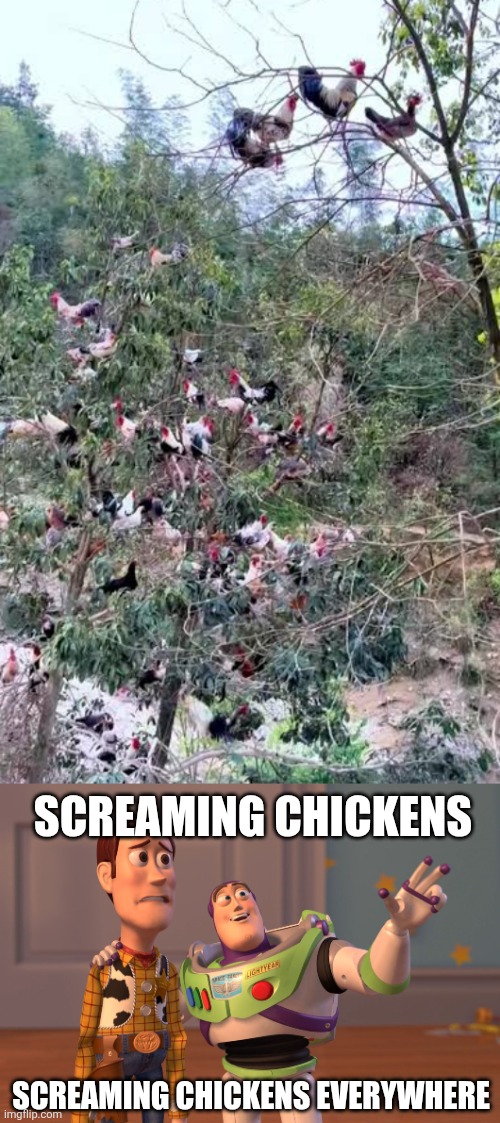 SCREAMING CHICKENS; SCREAMING CHICKENS EVERYWHERE | image tagged in memes,chicken,trees | made w/ Imgflip meme maker