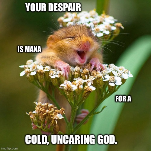 Nihilistic animal | YOUR DESPAIR; IS MANA; FOR A; COLD, UNCARING GOD. | image tagged in funny animals,nihilism | made w/ Imgflip meme maker