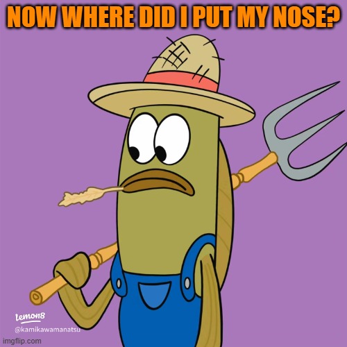 farmer fish | NOW WHERE DID I PUT MY NOSE? | image tagged in farmer fish | made w/ Imgflip meme maker