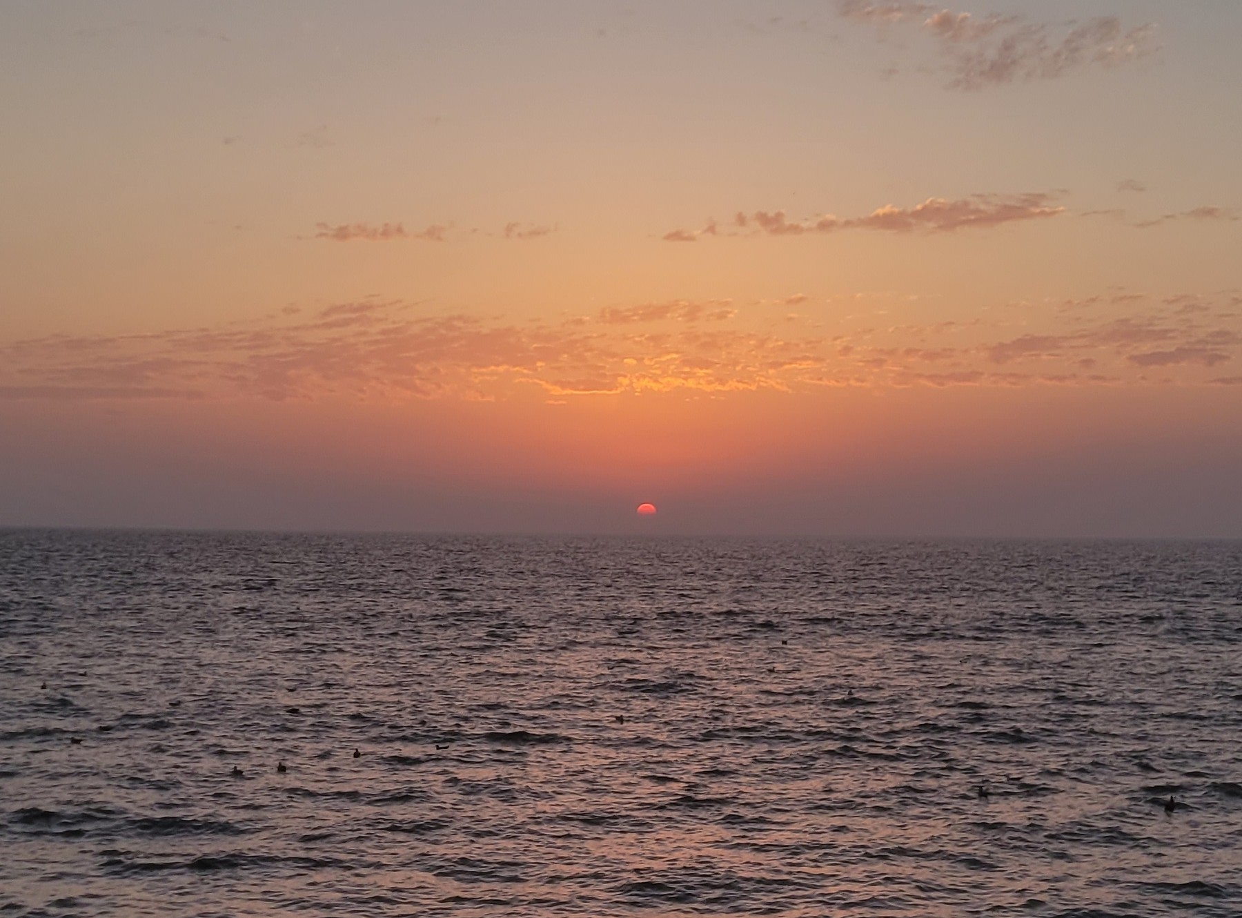 Westward Ho Sunset Blank Meme Template