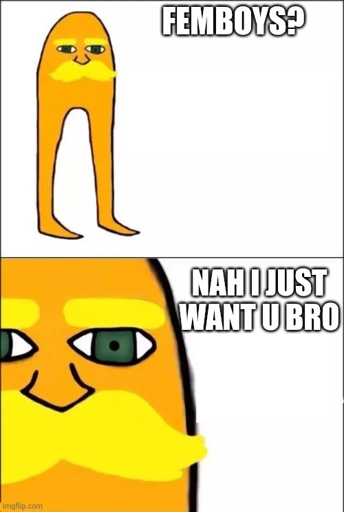 The Lorax | FEMBOYS? NAH I JUST WANT U BRO | image tagged in the lorax | made w/ Imgflip meme maker