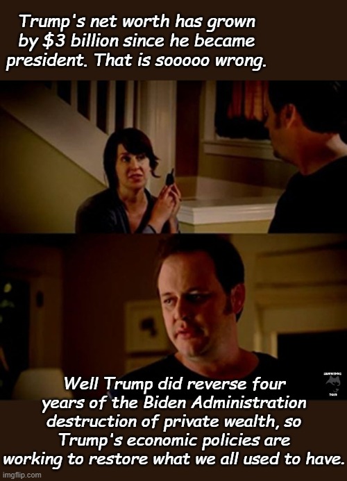 You say that like it's a bad thing. | Trump's net worth has grown by $3 billion since he became president. That is sooooo wrong. Well Trump did reverse four years of the Biden Administration destruction of private wealth, so Trump's economic policies are working to restore what we all used to have. | image tagged in well he's a guy so | made w/ Imgflip meme maker